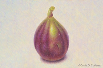 Figs in Dry Brush Watercolor - Online
